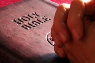 belief bible book business