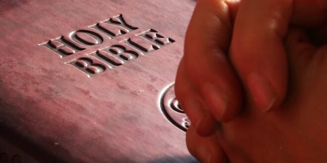 belief bible book business